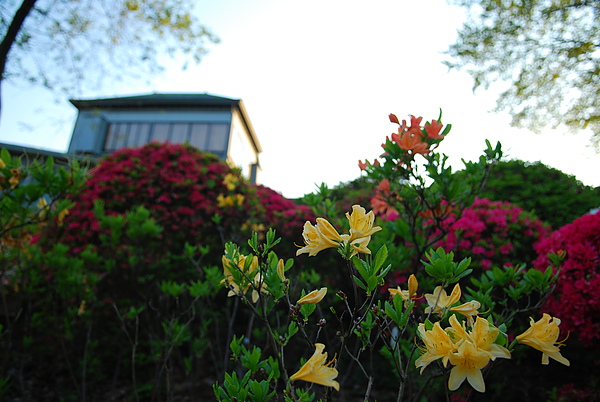 DSC_0290.JPG DSC_0290.JPG