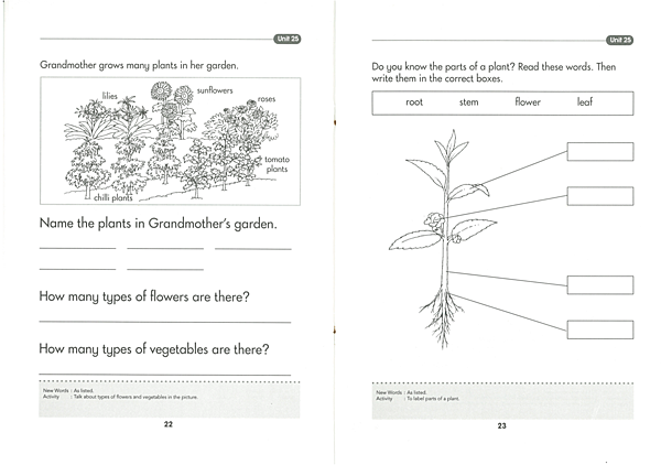 Vegetables 各種蔬菜 Vegetables 各種蔬菜