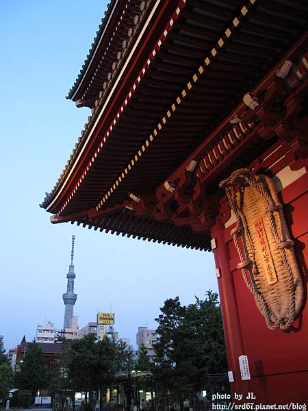 IMG_8884.JPG IMG_8884.JPG