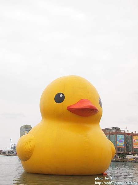 IMG_0283.JPG IMG_0283.JPG
