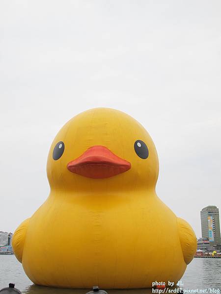 IMG_0286.JPG IMG_0286.JPG