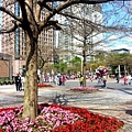 20140228_142843.jpg