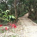 20140406_094833.jpg