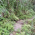 20140530_115255.jpg