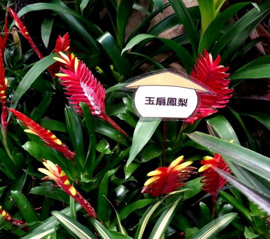 20140621_120549.jpg