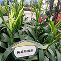 20140621_120559.jpg