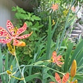 20140705_104039.jpg