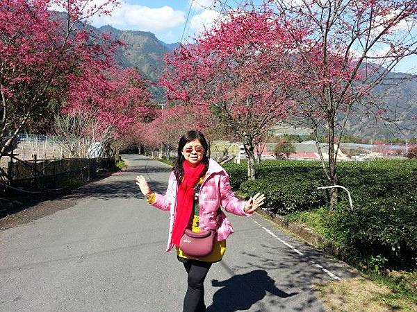 20150130_112844.jpg