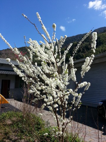 20150130_113422.jpg