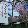 DSCN5595.jpg