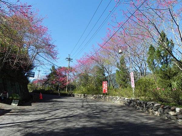 DSCN5596.jpg