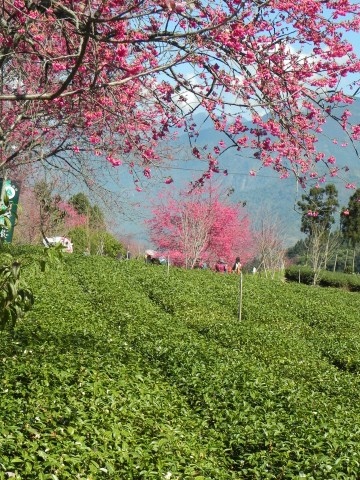 DSCN5620.jpg