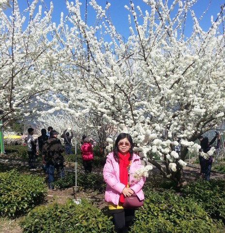20150130_123448.jpg