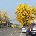 20150305_102044.jpg