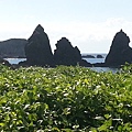 20150614_153340.jpg