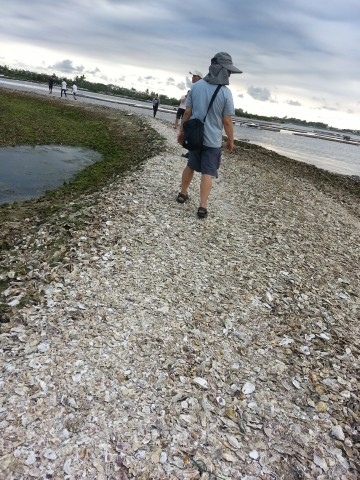 大鵬灣風景區---跨海大橋開橋秀登蚵殼島