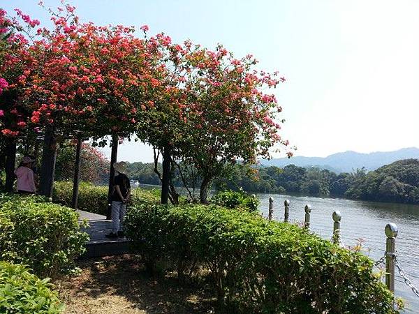 明德水庫搭遊艇~海棠島