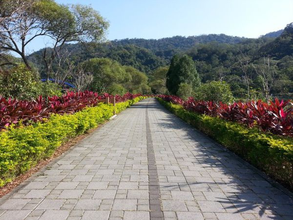 明德水庫搭遊艇~海棠島