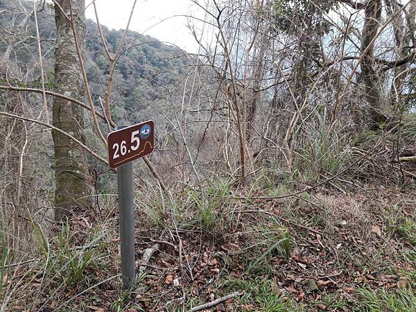 20160221_133032.jpg
