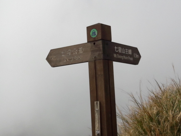 20161106_124037-1.JPG