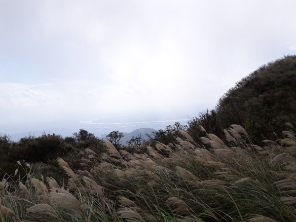 20161106_131908-1.JPG