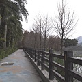 20170219_1722060107.JPG