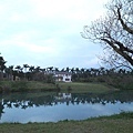 20170219_1751430107.JPG