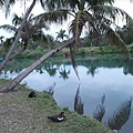 20170219_1753190107.JPG