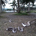 20170219_1754540107.JPG