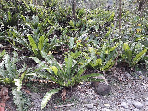 20170220_1434470107.JPG