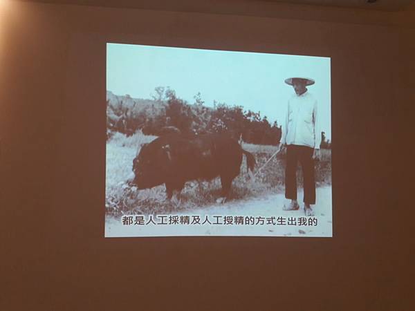 20171220_131938012----1.JPG 20171220_131938012----1.JPG