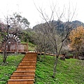 20180121_130258012----1.JPG