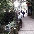 20180112_094138012----1.JPG