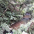 20180112_095402012----1.JPG
