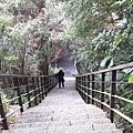20180221_093044012----.JPG