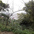 20180221_095006012----.JPG