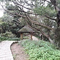 20180221_100940012----.JPG
