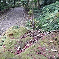 20180221_104247012----.JPG