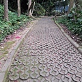 20180221_104255012----.JPG