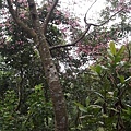 20180221_104601012----.JPG