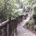 20180221_104656012----.JPG
