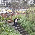 20180225_114816(0)012----.JPG