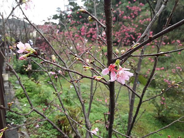 20180225_112312012----.JPG