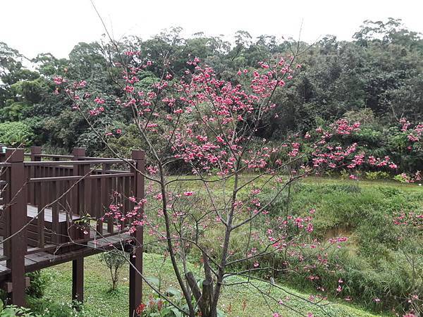 20180225_112332012----.JPG