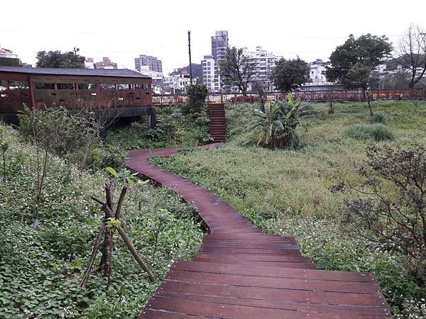 20180225_120327012----.JPG