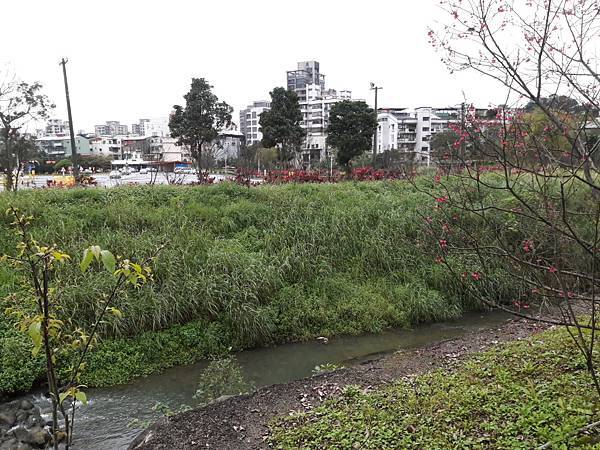 20180225_121736012----.JPG