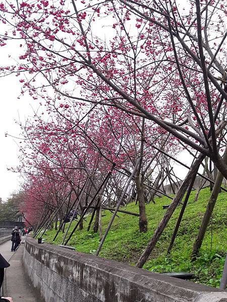 20180225_125324012----.JPG