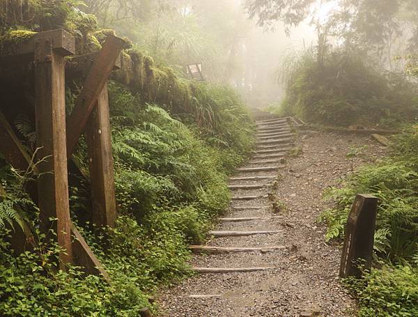 宜蘭太平山-見晴懷古步道