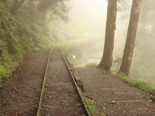 宜蘭太平山-見晴懷古步道