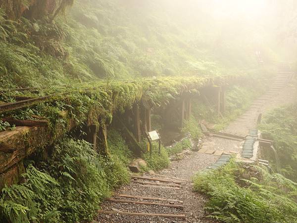 宜蘭太平山-見晴懷古步道